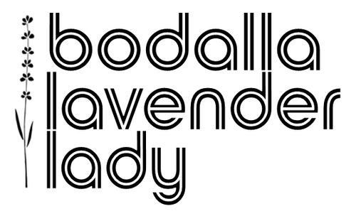 Bodalla Lavender Lady